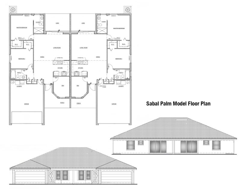Sabal Palm Model
